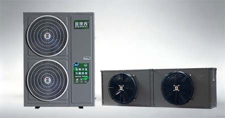 DLD-06DW/BR(R1)-20